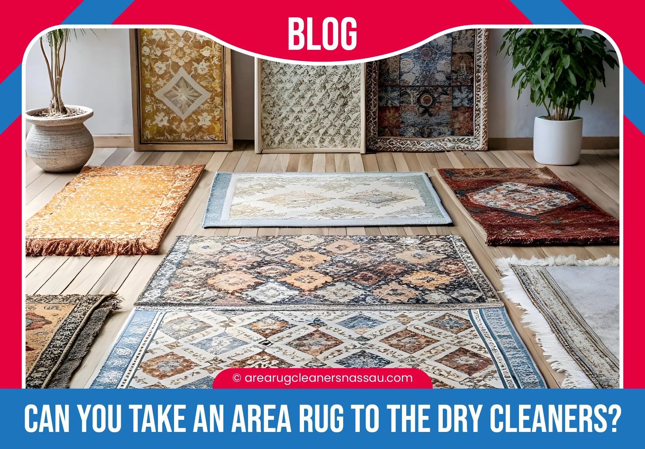 carpet cleaning in Nassau, carpet cleaner in Nassau, carpet cleaners in Nassau, carpet cleaners in new york, commercial carpet cleaning, commercial carpet cleaning in Nassau, rug cleaning in Nassau,rug cleaners Nassau, Nassau rug cleaners, rug cleaning services in Nassau, same day carpet cleaning,pet cleaning in Nassau, pet cleaner in Nassau, pet cleaners in Nassau, pet cleaners in new york, organic cleaning in Nassau, organic cleaner in Nassau, organic cleaners in Nassau, organic cleaners in new york, mattress cleaning in Nassau, mattress cleaner in Nassau, upholstery cleaners in Nassau, upholstery cleaners in new york, Miscellaneous cleaning in Nassau, Miscellaneous cleaner in Nassau, bed bug cleaners in Nassau, bed bug cleaners in new york, damage service in Nassau, allergy control in Nassau, same day rug cleaning