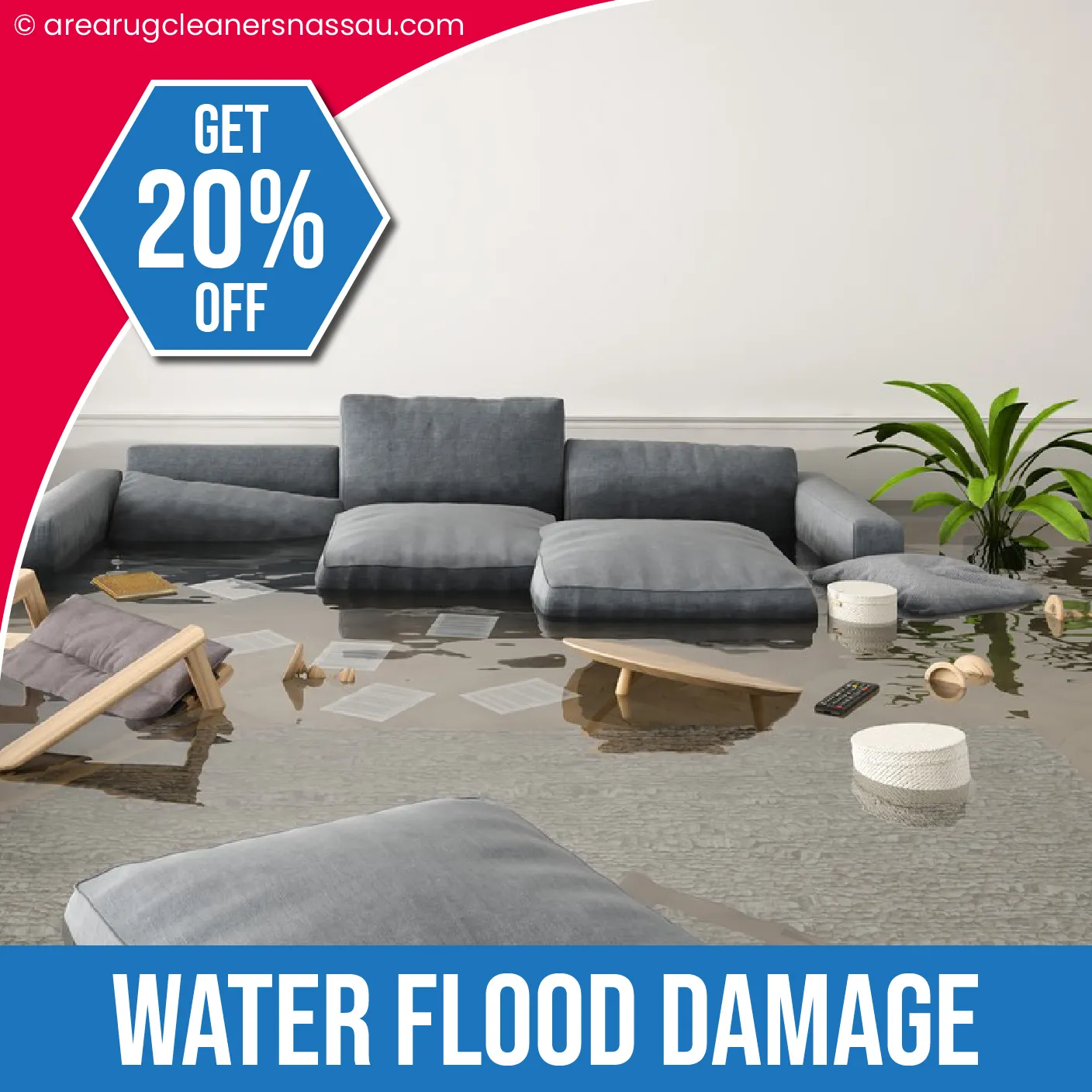 carpet cleaning in Nassau, carpet cleaner in Nassau, carpet cleaners in Nassau, carpet cleaners in new york, commercial carpet cleaning, commercial carpet cleaning in Nassau, rug cleaning in Nassau,rug cleaners Nassau, Nassau rug cleaners, rug cleaning services in Nassau, same day carpet cleaning,pet cleaning in Nassau, pet cleaner in Nassau, pet cleaners in Nassau, pet cleaners in new york, organic cleaning in Nassau, organic cleaner in Nassau, organic cleaners in Nassau, organic cleaners in new york, mattress cleaning in Nassau, mattress cleaner in Nassau, upholstery cleaners in Nassau, upholstery cleaners in new york, Miscellaneous cleaning in Nassau, Miscellaneous cleaner in Nassau, bed bug cleaners in Nassau, bed bug cleaners in new york, damage service in Nassau, allergy control in Nassau, same day rug cleaning