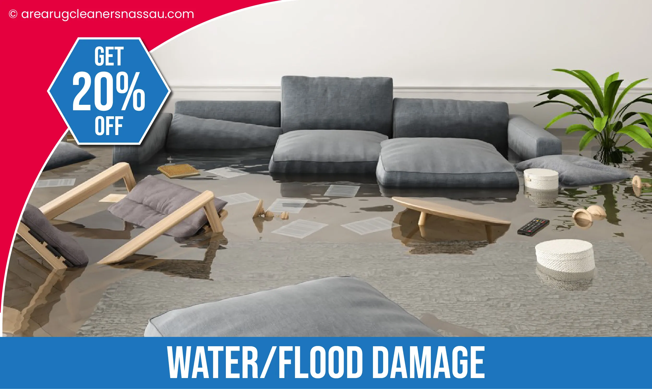 carpet cleaning in Nassau, carpet cleaner in Nassau, carpet cleaners in Nassau, carpet cleaners in new york, commercial carpet cleaning, commercial carpet cleaning in Nassau, rug cleaning in Nassau,rug cleaners Nassau, Nassau rug cleaners, rug cleaning services in Nassau, same day carpet cleaning,pet cleaning in Nassau, pet cleaner in Nassau, pet cleaners in Nassau, pet cleaners in new york, organic cleaning in Nassau, organic cleaner in Nassau, organic cleaners in Nassau, organic cleaners in new york, mattress cleaning in Nassau, mattress cleaner in Nassau, upholstery cleaners in Nassau, upholstery cleaners in new york, Miscellaneous cleaning in Nassau, Miscellaneous cleaner in Nassau, bed bug cleaners in Nassau, bed bug cleaners in new york, damage service in Nassau, allergy control in Nassau, same day rug cleaning