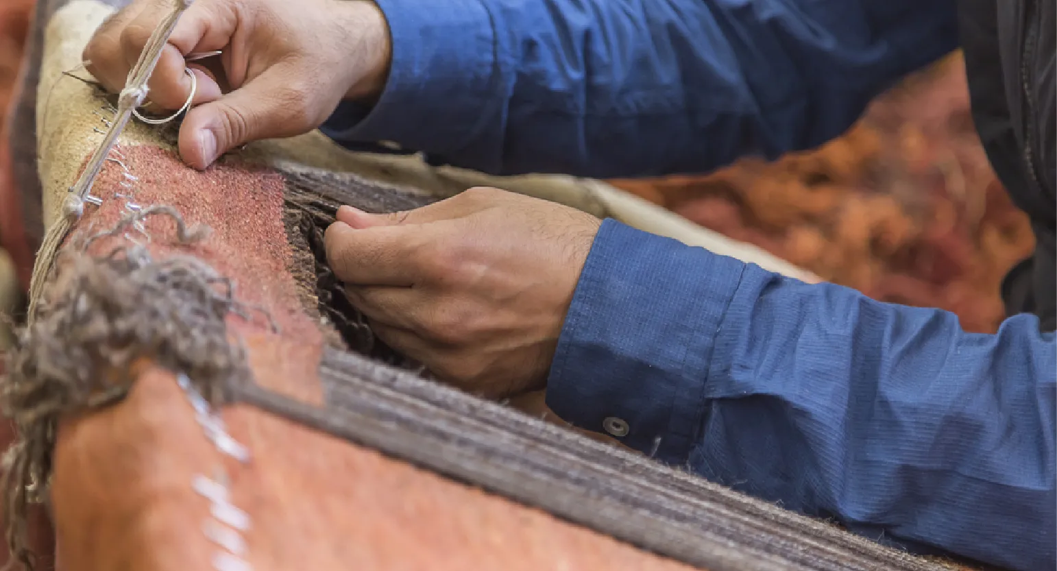 carpet cleaning in Nassau, carpet cleaner in Nassau, carpet cleaners in Nassau, carpet cleaners in new york, commercial carpet cleaning, commercial carpet cleaning in Nassau, rug cleaning in Nassau,rug cleaners Nassau, Nassau rug cleaners, rug cleaning services in Nassau, same day carpet cleaning,pet cleaning in Nassau, pet cleaner in Nassau, pet cleaners in Nassau, pet cleaners in new york, organic cleaning in Nassau, organic cleaner in Nassau, organic cleaners in Nassau, organic cleaners in new york, mattress cleaning in Nassau, mattress cleaner in Nassau, upholstery cleaners in Nassau, upholstery cleaners in new york, Miscellaneous cleaning in Nassau, Miscellaneous cleaner in Nassau, bed bug cleaners in Nassau, bed bug cleaners in new york, damage service in Nassau, allergy control in Nassau, same day rug cleaning